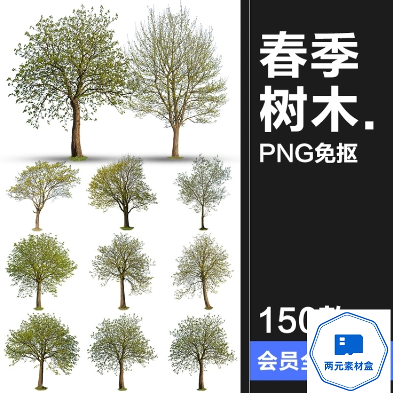 y082.春季夏季绿意盎然树木绿植大树干园林景观装饰元素PNG免抠图素材-两元素材盒