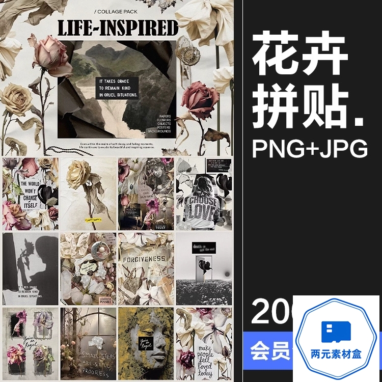 y122.优雅复古时尚植物花卉生活美学抽象艺术混合拼贴PNG免抠图片素材-两元素材盒
